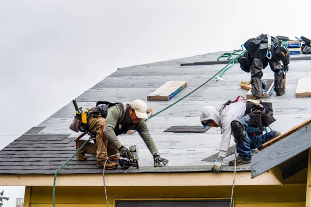 Professional Gutter Installation technician working in Camden, MS